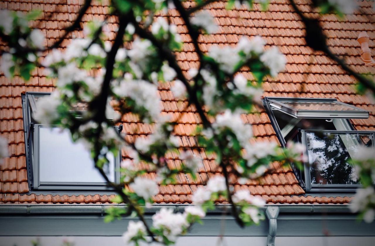 Loewenherz Appartements Bad Bentheim Exteriér fotografie